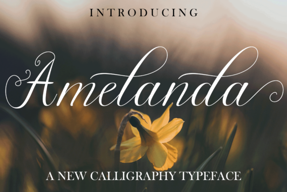 Amelanda: A Flowing Script for Creative Campaigns