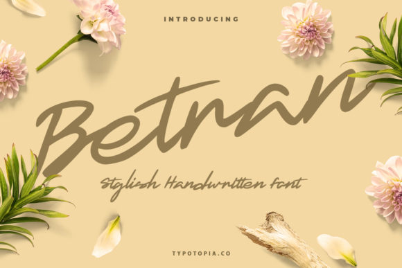 Betran: A Handwritten Font for Web Design