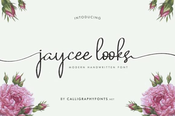 Jaycee Looks Font: Elegant Script for Editorial Design