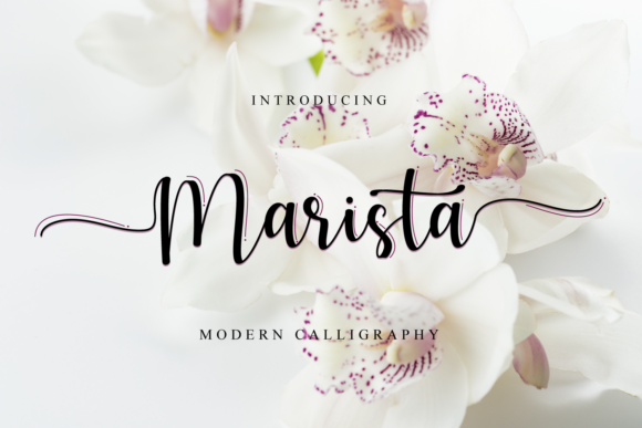 Marista: A Beautiful Font for Business