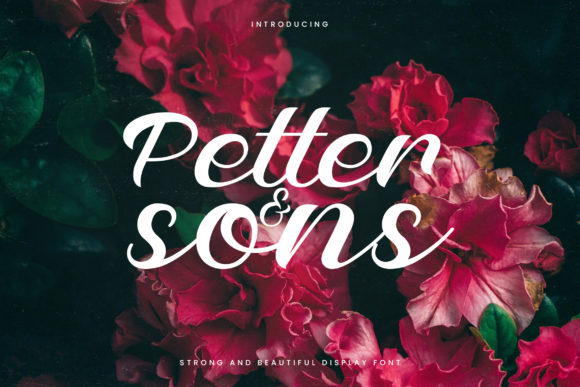 Petter and Sons Font Review