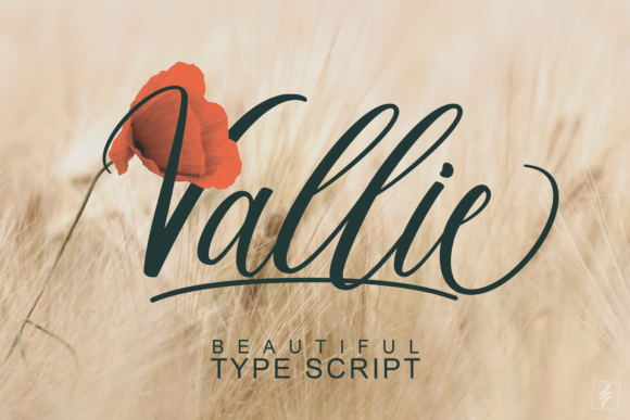Valiie: A Stylish Script Font